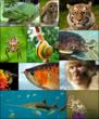 EurekaMag.com Publishes 84 Thousand New References on the Taxonomy...