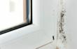 Marysville Apartment Residents Complain of Black Mold and Other...