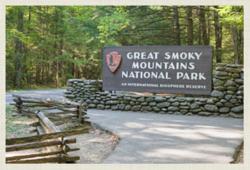 There are family-friendly things to do in the Smoky Mountains galore, including hiking, fishing, picnicking and wildlife sightseeing.