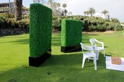 Geranium Street Floral - Artificial Hedge
