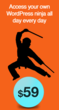 WP Live Ninja Launch 24-hour Live Access to a WordPress Developer for...