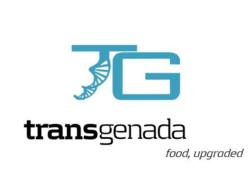 TransGenada Food Upgraded Logo