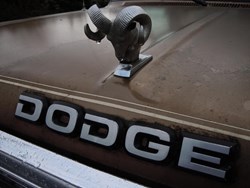 Used Engine