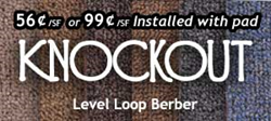 Knockout Level Loop Berber Discount Carpet Dallas