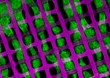 Damaged Tissues and Organs Could be Repaired With New Scaffolding Technique