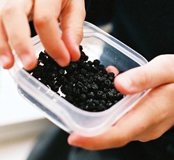 Wild Blueberries in container