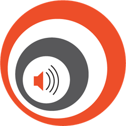 Wizscribe official logo