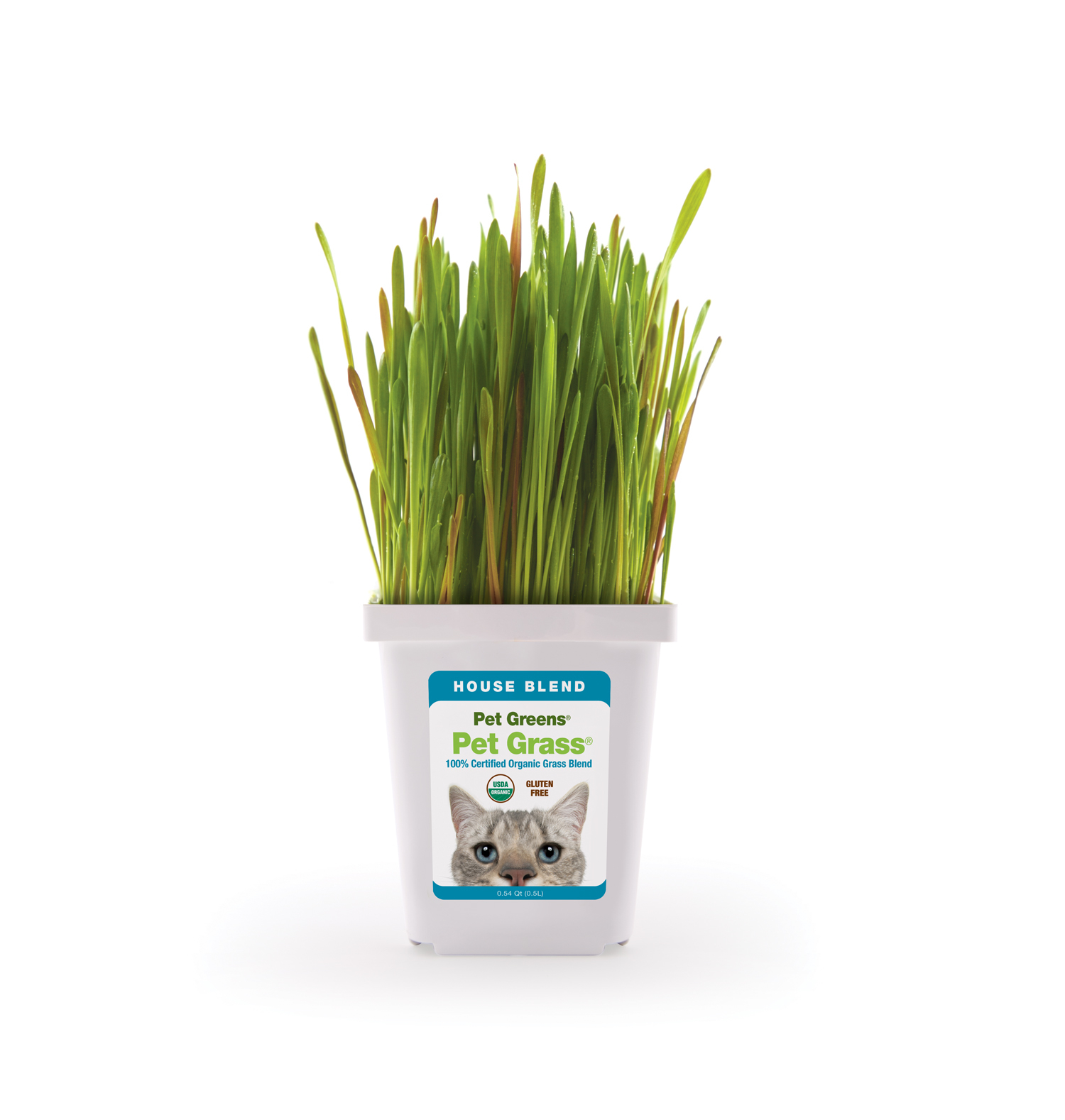 Bell Rock Growers Introduces New Varieties of Pet Greens Cat Treats and