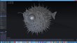 LightWave 3D Group Announces Educational Pricing for ChronoSculpt...