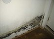 Atlanta Struggles from Mold, My Cleaning Products Offers Residents...