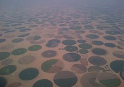 Agricultural Sciences @ ScienceIndex.com