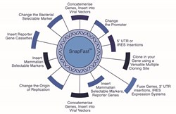 Oxford Genetics SnapFast