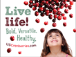 Big Cranberry Meets Big Apple -- Cranberries Make a Bold, Versatile,...