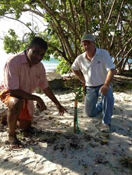 Harith Wickrema and Gary Ray examine sea grape seedling planted as part of the Eco Serendib Beach Restoration Project on St. John in the US Virgin Islands