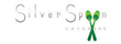 Nothern Virginia Silver Spoon Announces Their 2013 Holiday Corporate...