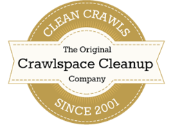 Crawl Space Cleaning