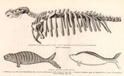 Zoological Science @ EurekaMag.com