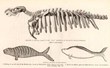 EurekaMag.com Publishes 112 Thousand New Zoology References and a...