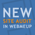 WebMeUp Site Audit module