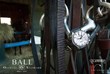 The Union Avenue Presented by BALL Watch USA and Northeastern Fine...