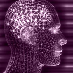 Psychoneuroimmunology CE Course for Mental Health Professionals Updated at HealthForumOnline