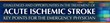 Challenges and Opportunities in the Treatment of Acute Ischemic...