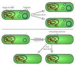 Molecular cloning @ EurekaMag.com