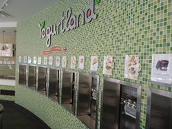 Froyo, flavors, yogurtland, custom, create