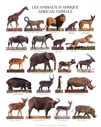  Adds New Wildlife Posters to Its Website