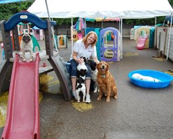 Christina with a group of daycare dogs