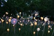 British Artist Bruce Munro to Exhibit Light-Based Works At Franklin...