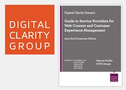 Digital Clarity Group Image