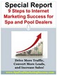 Internet Marketing Consultant for Spa Dealers and Pool Builders, David...