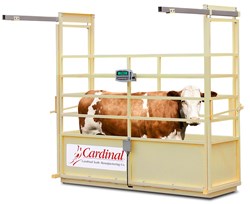 Cardinal’s New NTEP Single Animal Livestock Scales Accurate to ½ LB
