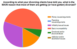 Causes and Effects of Divorce - Essays - Nelsitin