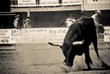 Running with the Bulls USA Adds Salt Lake City
