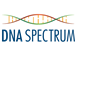 Man Converts to Judaism After Test from DNA Spectrum Uncovers Jewish...