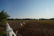 Wisconsin Farm, Equestrian Property to Sell at Auction