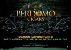 perdomo cigars, tobacco farming, cigar magazine, cigars