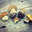The Joel Palmer House Restaurant Welcomes Bumper Crop of Oregon Wild...