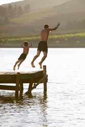 Wild Swimmers