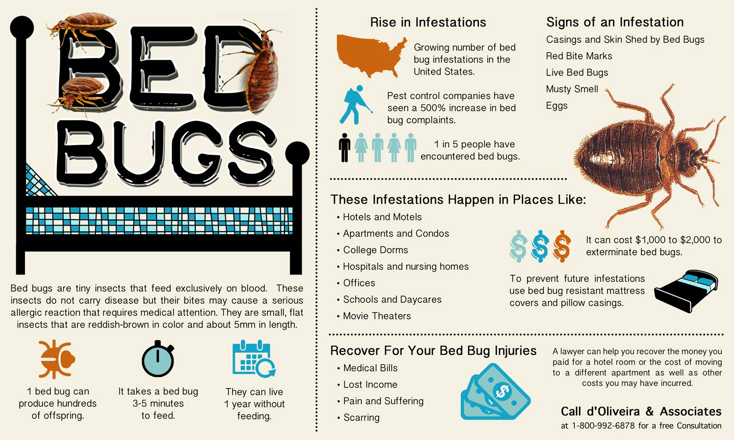 injury-lawyer-releases-new-informational-graphic-about-bed-bug