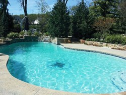 DS Pool Service