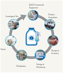 Cell Therapy Solutions Workflow