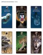 Emmy Award-Winning TV Host and Explorer Jeff Corwin Announces Media...