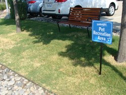 Pet Recreation Area