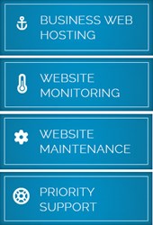 Website Management