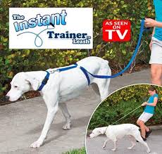 leash training