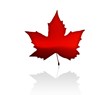 Smart Resolution Heads North With New Canadian Online Store