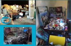 Address Our Mess animal hoarding help
